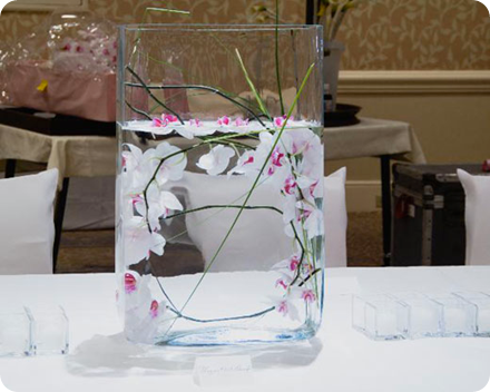 White orchids in square vase art contemporary centerpiecs